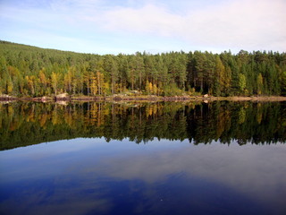 Lac de Scandinavie avec reflets arbres / scandinavian lake with forest reflecting into it