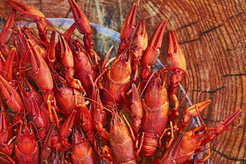Crawfish cooked and served on wooden background