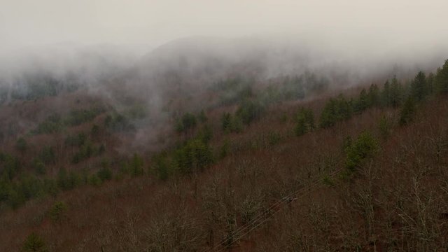 Aerial, fog over forest in Pindus National Park