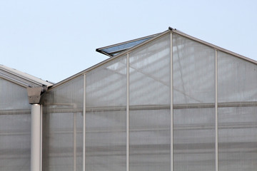 Fototapeta na wymiar Roof Of A Greenhouse