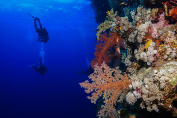 Fototapeta na wymiar Diving the Red Sea, Egypt