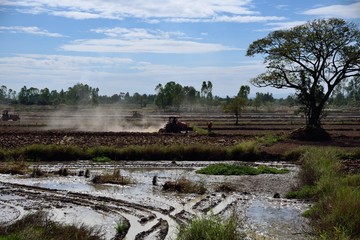 Fototapeta na wymiar tractor is farming in farm landscape