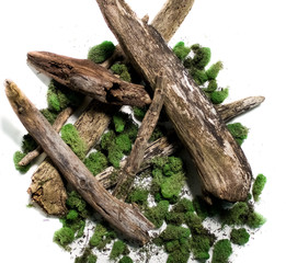 Still life scene of driftwood 