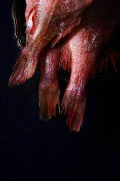 Close up of raw perch fish