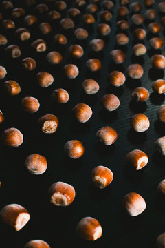 Forest hazelnuts on a black background