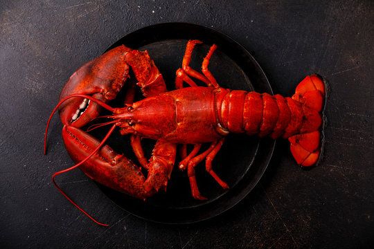 Overhead view of lobster on plate