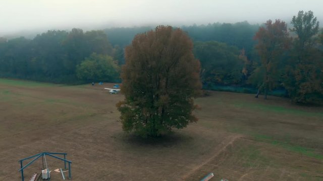 Drone shot of large tree in the middle of an Arkansas grass air strip with campers and an airplane