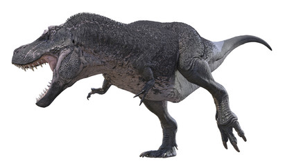 3D render of Tyrannosaurus Rex.