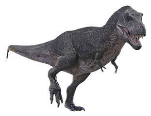 3D render of Tyrannosaurus Rex.