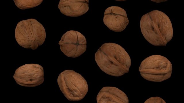 Realistic render of falling walnuts on black background. The video is seamlessly looping, and the 3D objects are scanned from real walnuts.