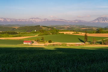 Hokkaido Biei　　北海道美瑛４