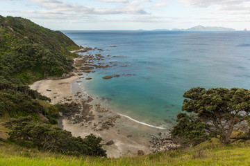 View from Mangawhai cliffs walkway at low tide in the afternoon light. Cloudy sky, turquoise water colour and green hills. New Zealand landscape