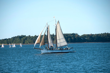 Obraz premium Maine Fishing Schooner