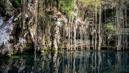  cenotes in the jungle of mexico