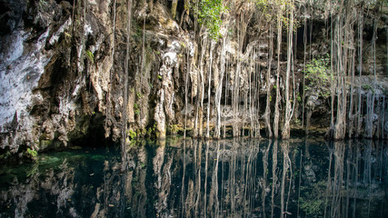Fototapeta na wymiar cenotes in the jungle of mexico