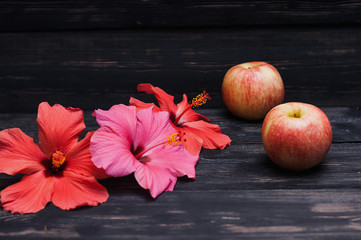 red apples and flowers on black background