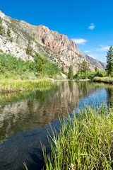 Fototapeta na wymiar McGee Creek Canyon in the summertime, near Mammoth Lakes, California in the Eastern Sierra