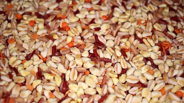 Durum wheat spelled spelt red rice lentils food closeup texture pattern. Seamless looping video footage
