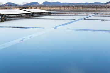The salt pond landscape in Korea, 2019.
