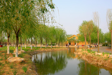 Fototapeta premium Wooden pool and trees in the park
