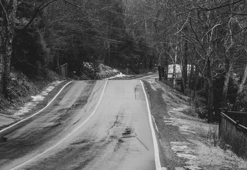 road in the forest in winter, wet road, no people.
