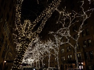 christmas lights on outdoor trees