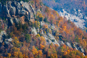 Fall foliage and rocky cliffside in the Blue Ridge Mountains of North Carolina