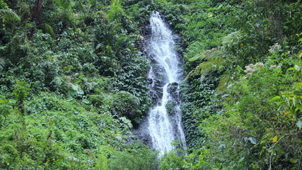 Madakaripura  Waterfall in Bromo Tengger Semeru National Park 