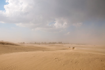 Fototapeta na wymiar Dust storm in the Thar desert 