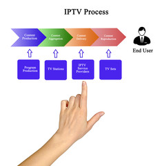 Components of IPTV Process