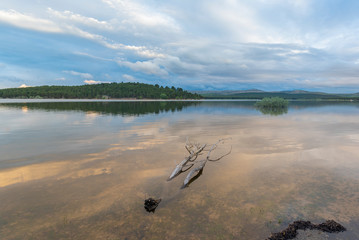 Swamp of Cuerda del Pozo (Vinuesa, Soria - Spain).