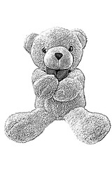 teddy bear,sketch teddy bear,drawing teddy bear isolated on white background