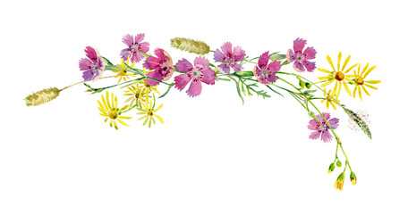 Horizontal frame of watercolor wild carnations and yellow daisies on a white background. For greetings, invitations, weddings, birthdays and mother's day