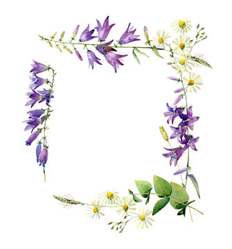 Frame of wild flowers of bluebell and camomile on a white background. For greetings, invitations, weddings, birthdays and mother's day