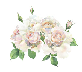 A bouquet of roses on a white background. For congratulations and invitations for weddings, birthdays, mother's days