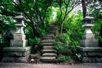 Fototapeta premium Flight of stairs leading up to Ubuyagasaki Shrine near Lake Kawaguchi Japan