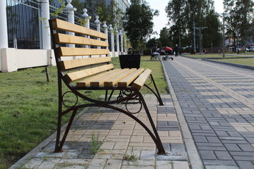 The bench and road in the garden
