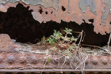 old rusty locomotive