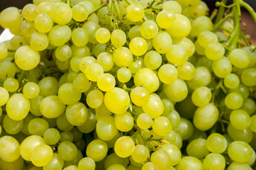 Background of green grapes