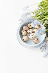 Quail eggs in light blue bowl on white textured background