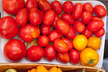 Autumnal harvest: background of red tomatoes