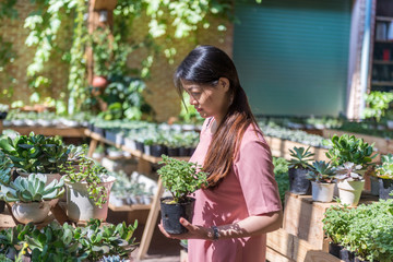 Asian woman choosing plants in the plant shop
