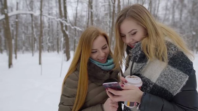 two charming young ladies are viewing photos in smartphone screen and laughing in forest