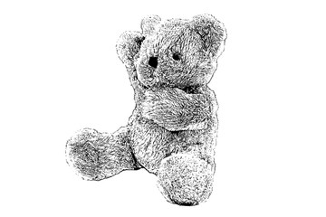 teddy bear,sketch teddy bear,drawing teddy bear isolated on white background