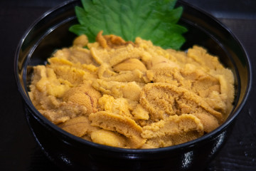  Sea urchin bowl　　ウニ丼