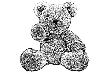 teddy bear,sketch teddy bear,drawing teddy bear isolated on white background