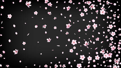 Fototapeta na wymiar Nice Sakura Blossom Isolated Vector. Tender Blowing 3d Petals Wedding Texture. Japanese Blurred Flowers Illustration. Valentine, Mother's Day Watercolor Nice Sakura Blossom Isolated on Black
