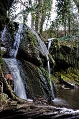 Au pays des f&eacute;es