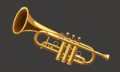 Beautiful golden trumpet vector illustration