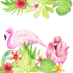 Botanical illustration with flamingo isolated on white background. watercolor exotic set .